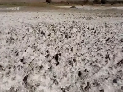 قصه سد فریمان به پایان رسید