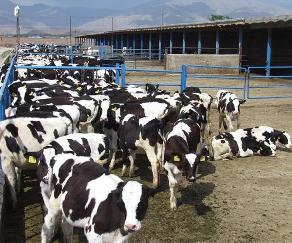 پیام خراسان