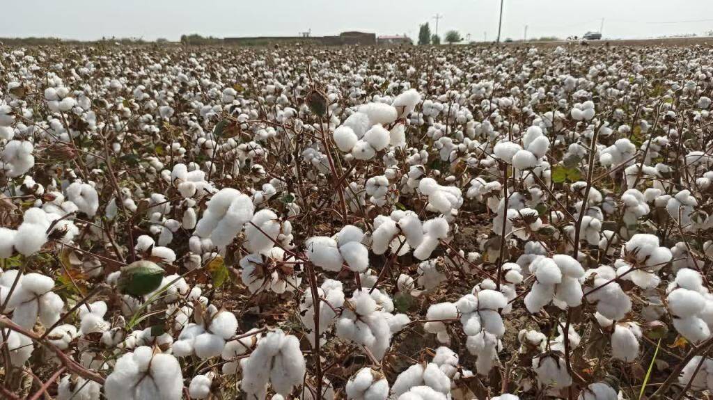 پیام خراسان