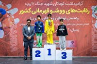 راهیابی ۸ ورزشکار خراسان رضوی به اردوی آمادگی تیم ملی ووشو