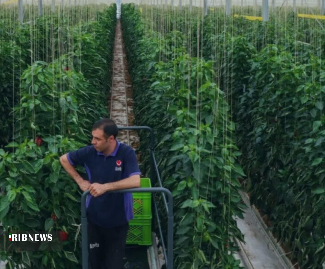 پیام خراسان