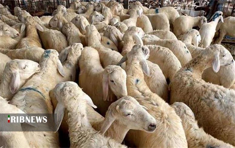 پیام خراسان