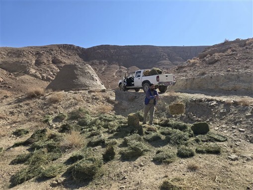 پیام خراسان