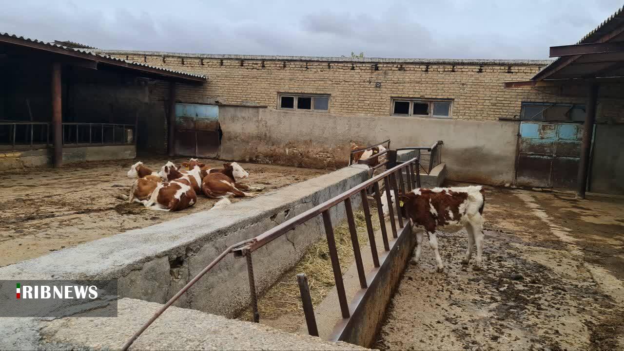 پیام خراسان