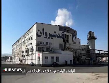 جذب ۱۶۵ هزار تن چغندر قند در کارخانه قند شیروان