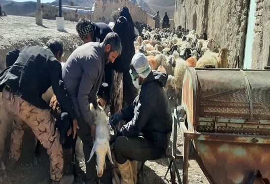 پیام خراسان