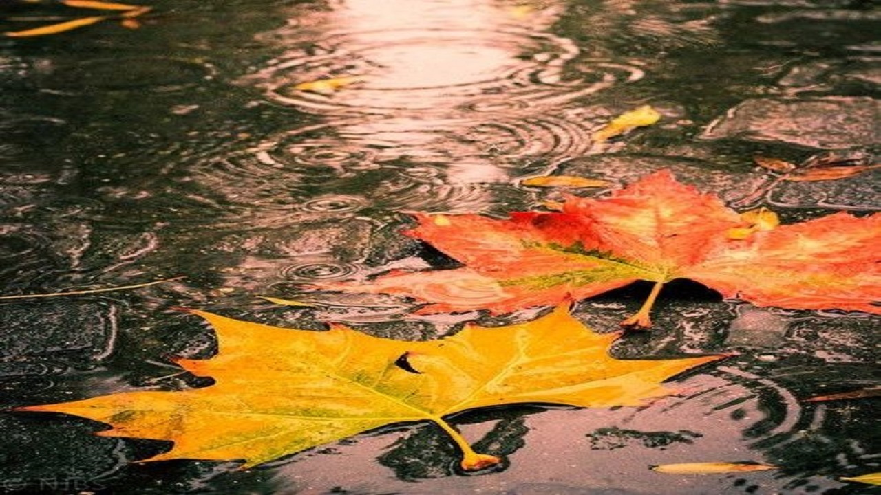 چقدر در مشهد باران بارید؟