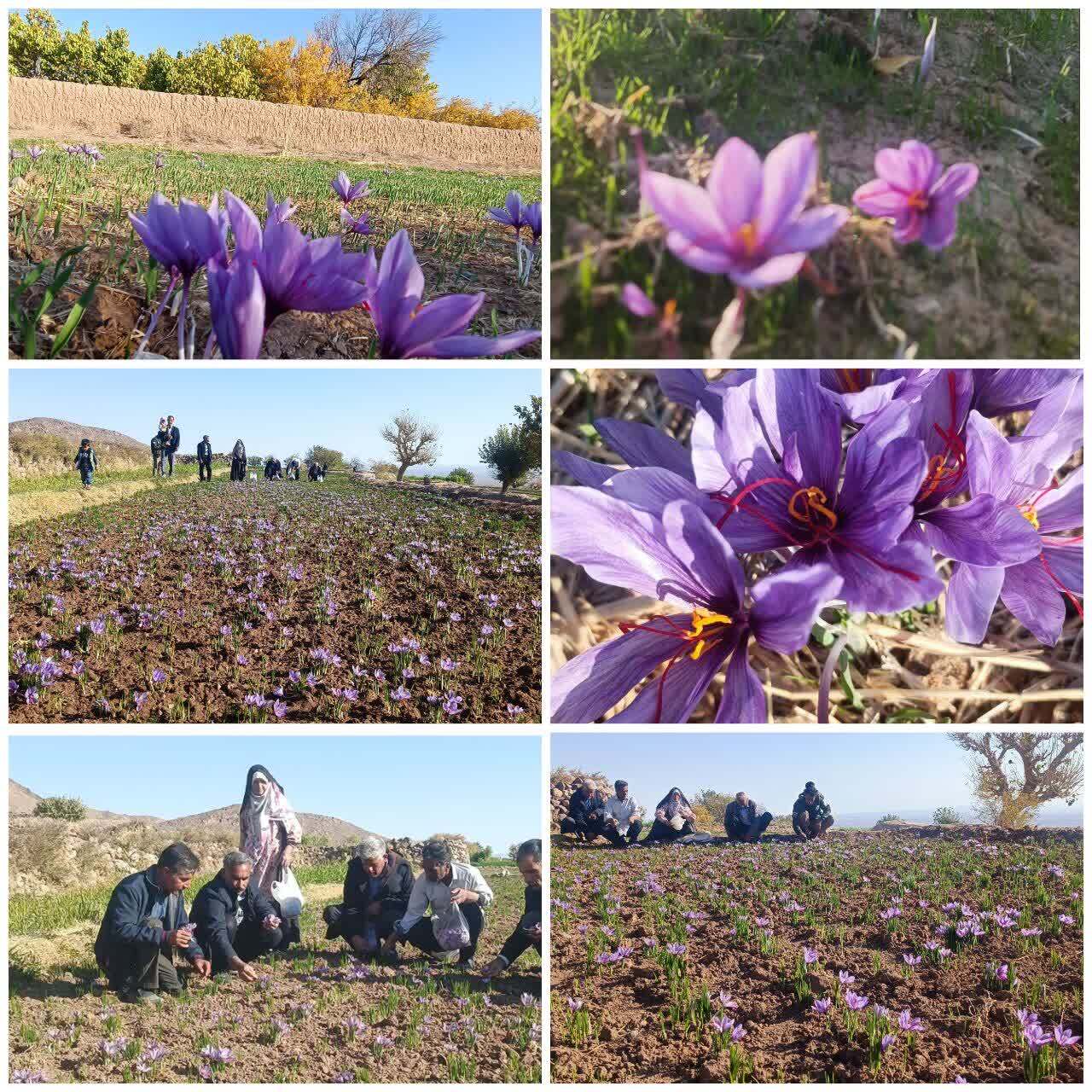 پیام خراسان