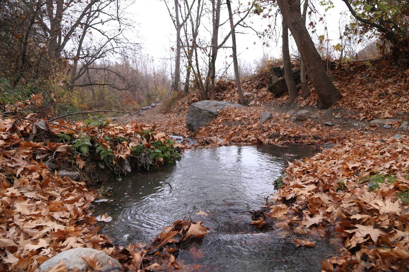 پیام خراسان