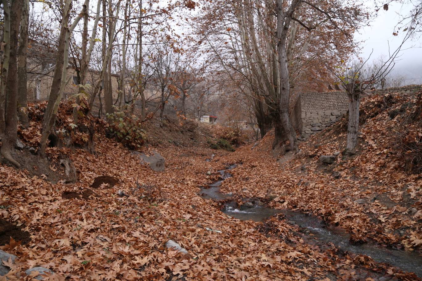 پیام خراسان