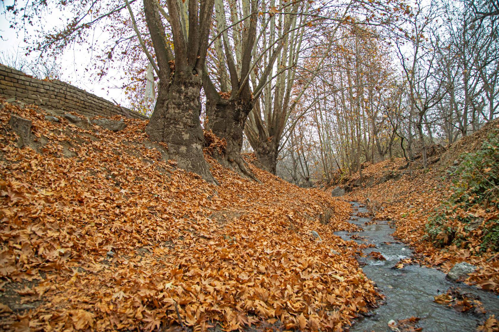 پیام خراسان
