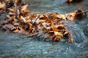 پیام خراسان