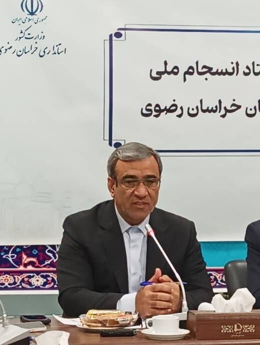 طرح و ایده های کارگروه های مشورتی به عنوان پایلوت اجرا می شود