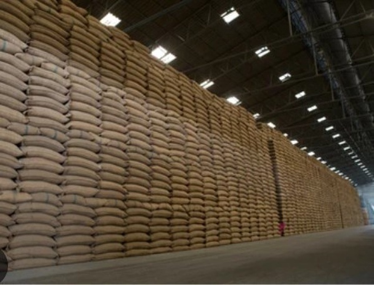 آغاز عرضه برنج پاکستانی در بازار خراسان رضوی از ۱۰ روز آینده