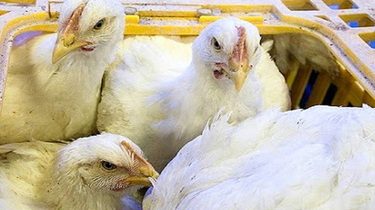 پیام خراسان