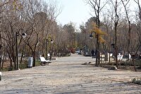 بهره برداری از سومین بوستان جنگلی ویژه بانوان مشهدی، به زودی