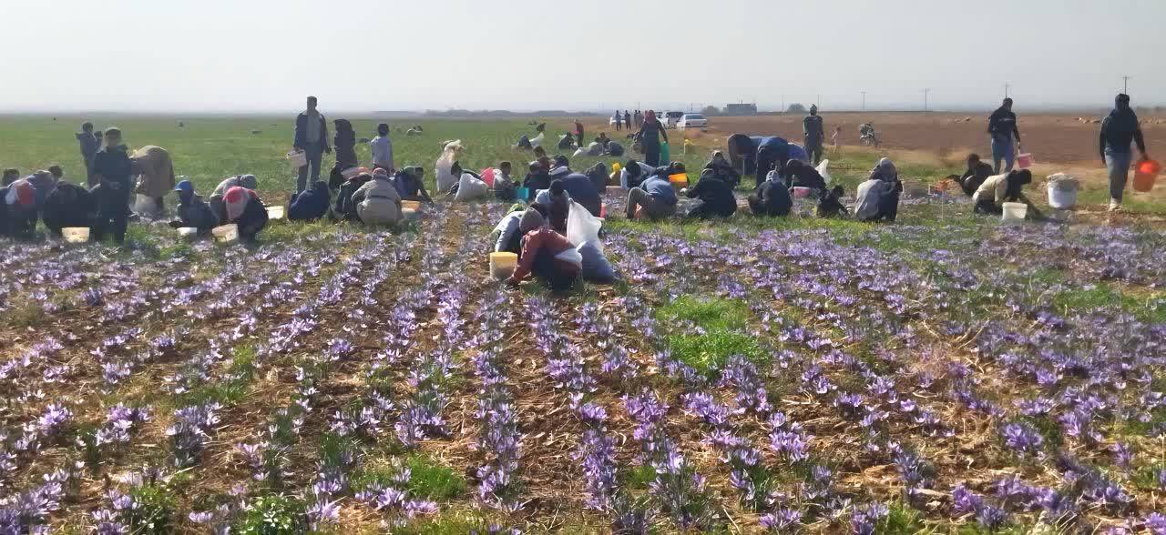 پیام خراسان