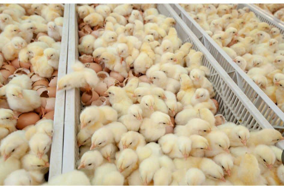 پیام خراسان