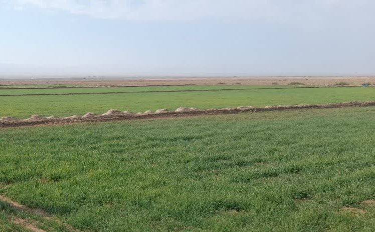 پیام خراسان