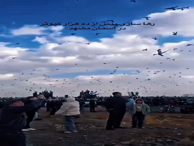 رهاسازی پرندگان در ابتدای جاده شاندیز مشهد