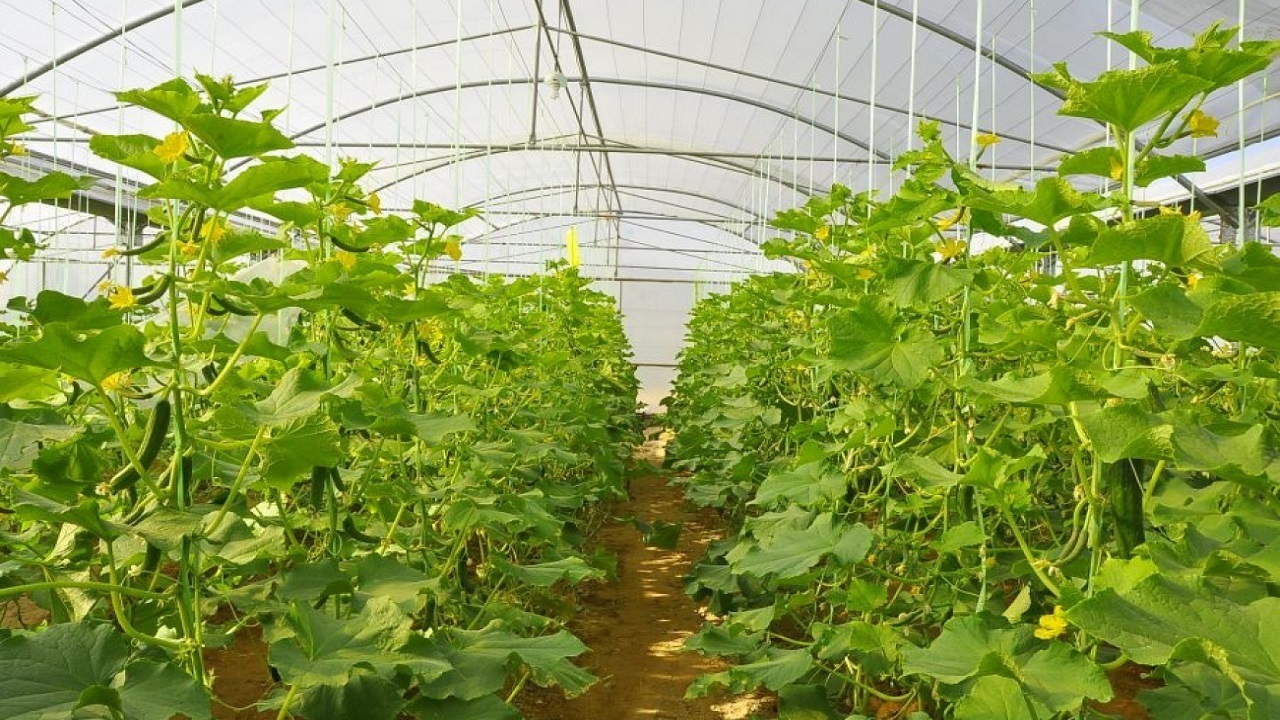 پیام خراسان