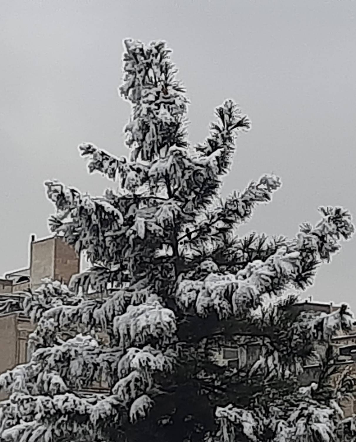 پیام خراسان