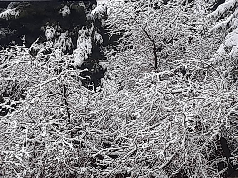 پیام خراسان