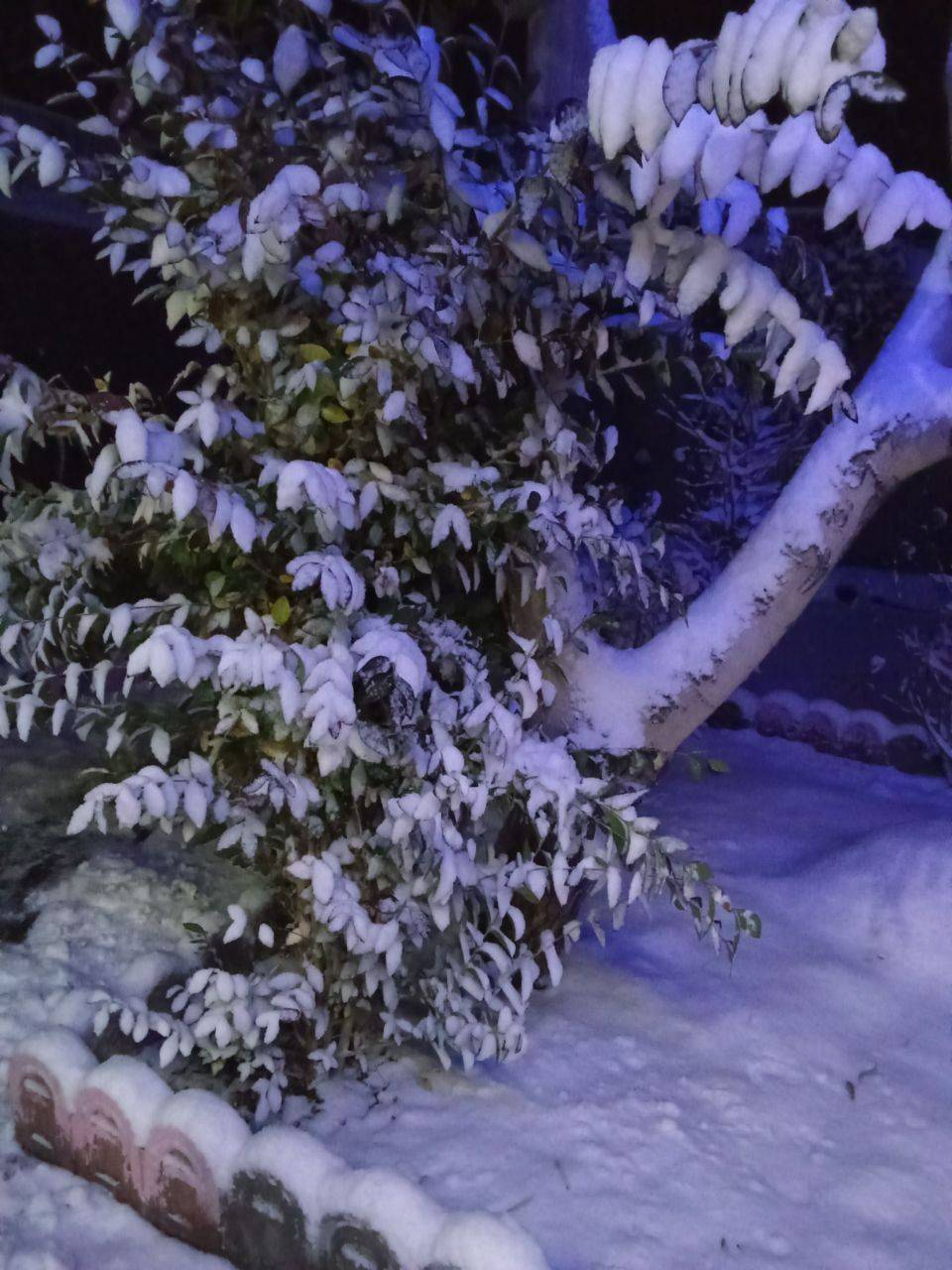 پیام خراسان