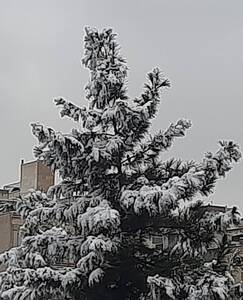 پیام خراسان