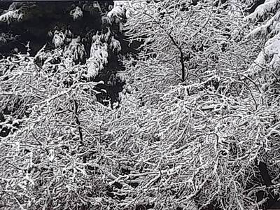 پیام خراسان