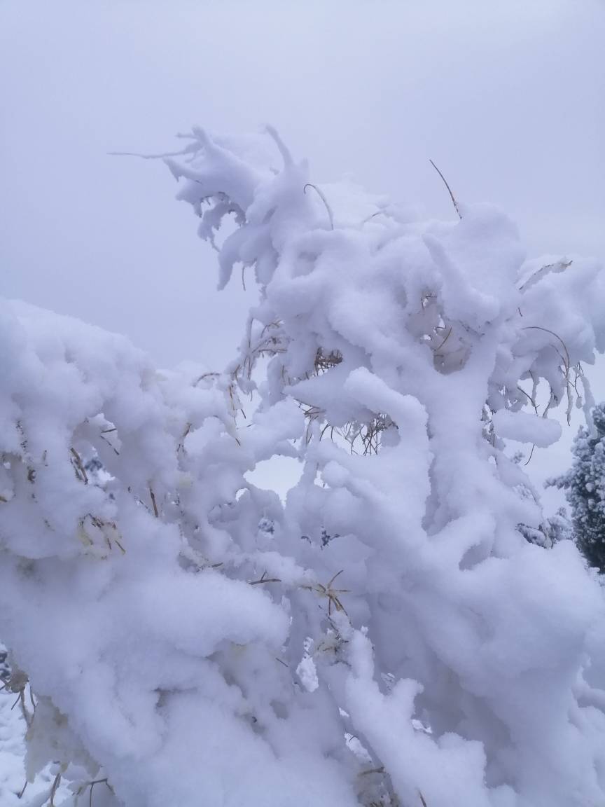 پیام خراسان