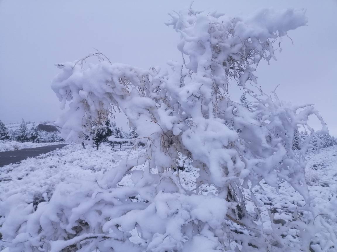 پیام خراسان