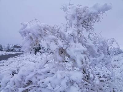 پیام خراسان