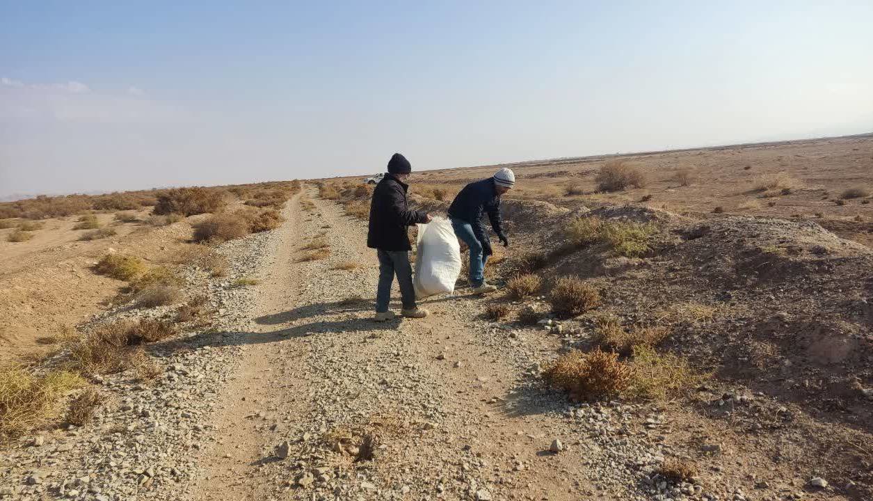 توجه به توسعه کشت گیاهان شور پسند،ظرفیتی پایدار در مسیر تحقق امنیت غذایی