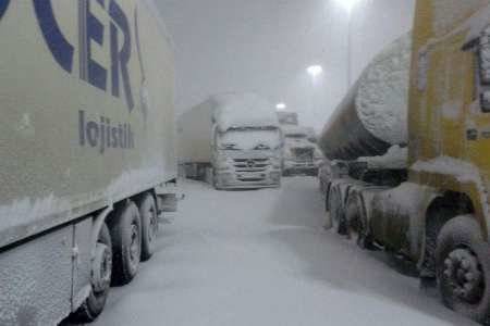 توقف خروج کامیون ها از دوغارون تایباد