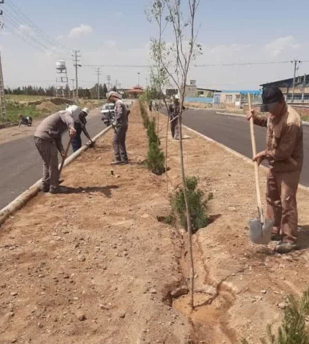 کاشت ۵۰۰ اصله درخت در شهرک صنعتی کاویان فریمان