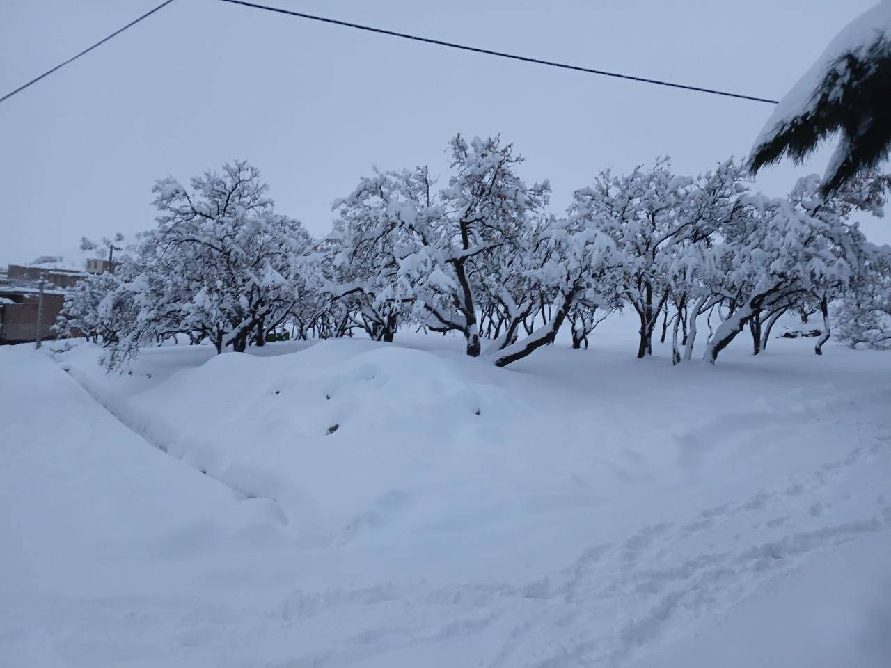 پیام خراسان