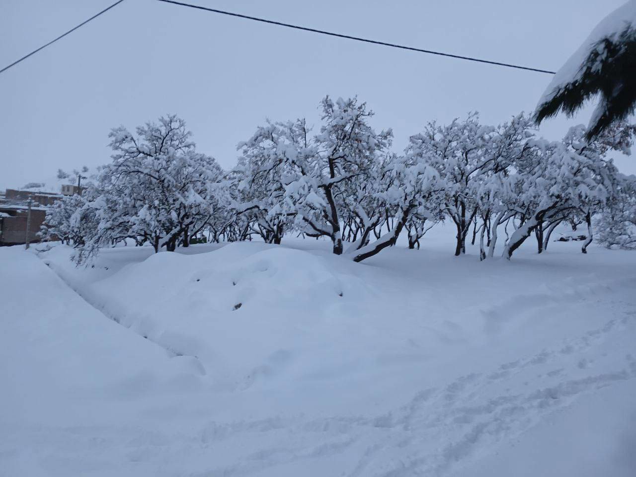 ثبت بارش ۳۱ سانتی‌متر برف در روستای پشته تایباد
