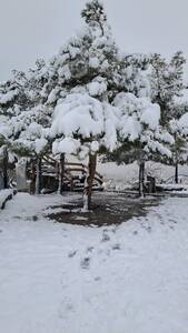 پیام خراسان