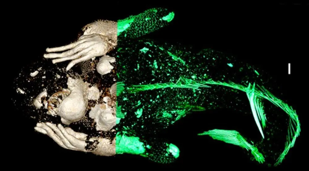 پیام خراسان