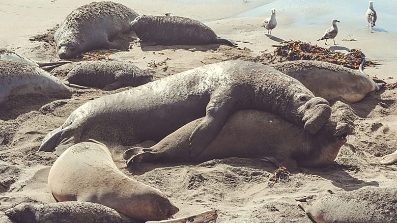 پیام خراسان