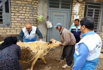 ۱۵۰ هزار پایش بیماری‌های دامی در شیروان انجام شد