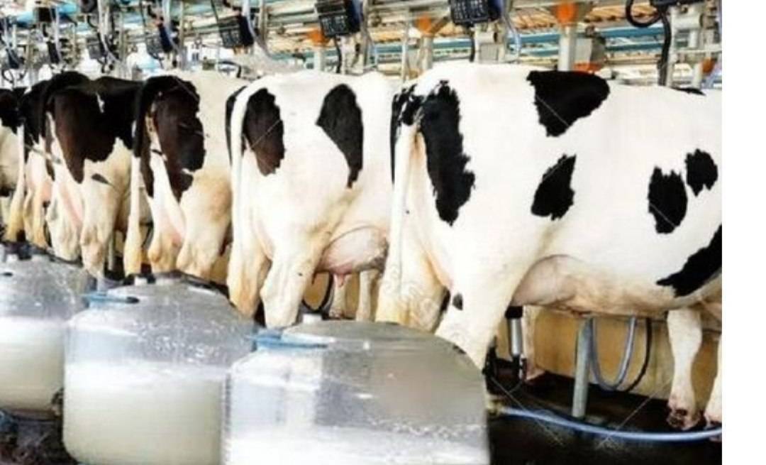 پیام خراسان