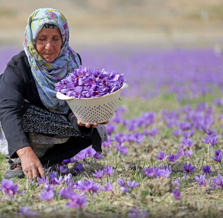 پیام خراسان