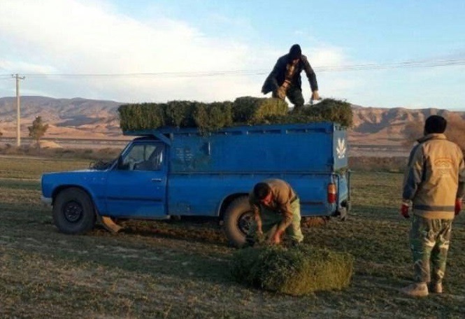 توزیع بیش از ۲ تن علوفه و دان در حیات‌وحش فریمان