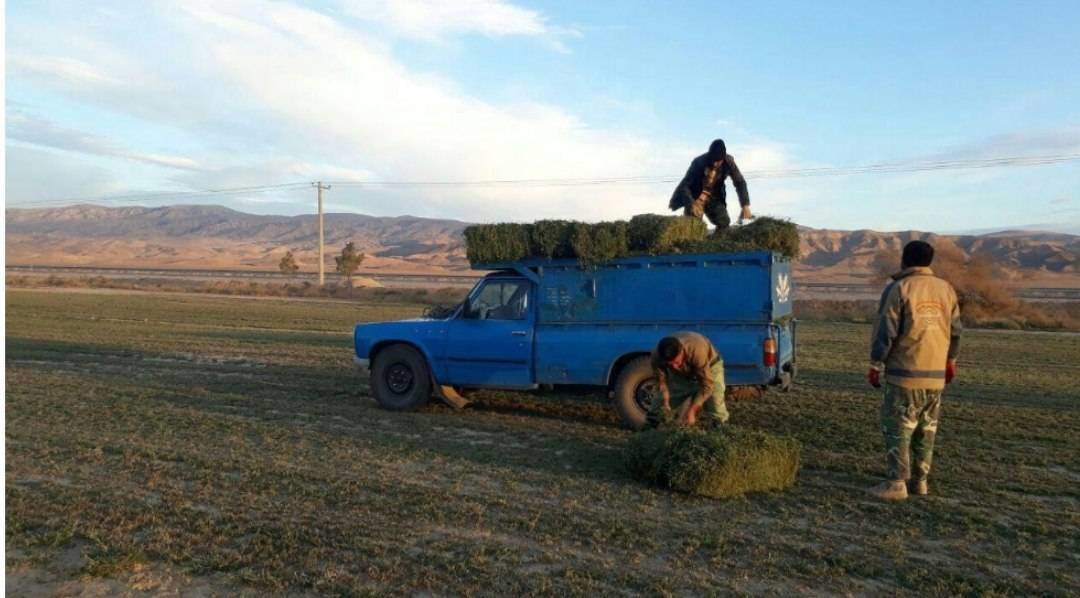 توزیع علوفه و دان در منطقه حفاظت شده جنگل خواجه سرخس