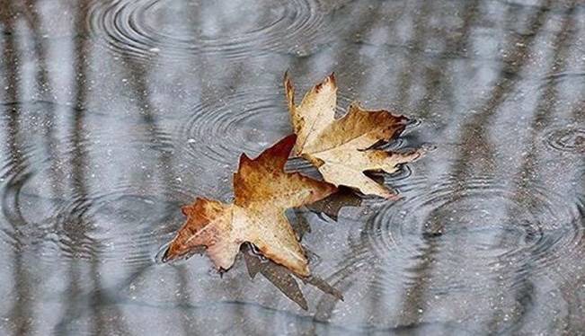 بارش باران و برف تا پایان هفته در خراسان رضوی