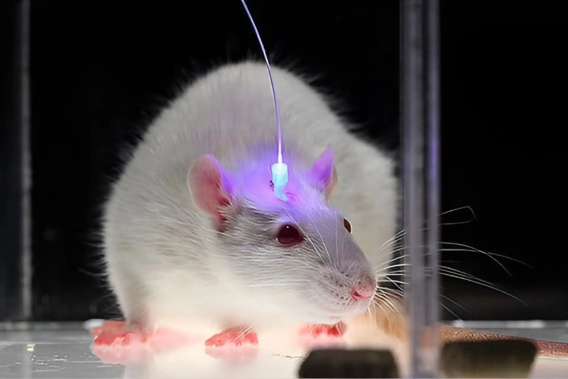 پیام خراسان