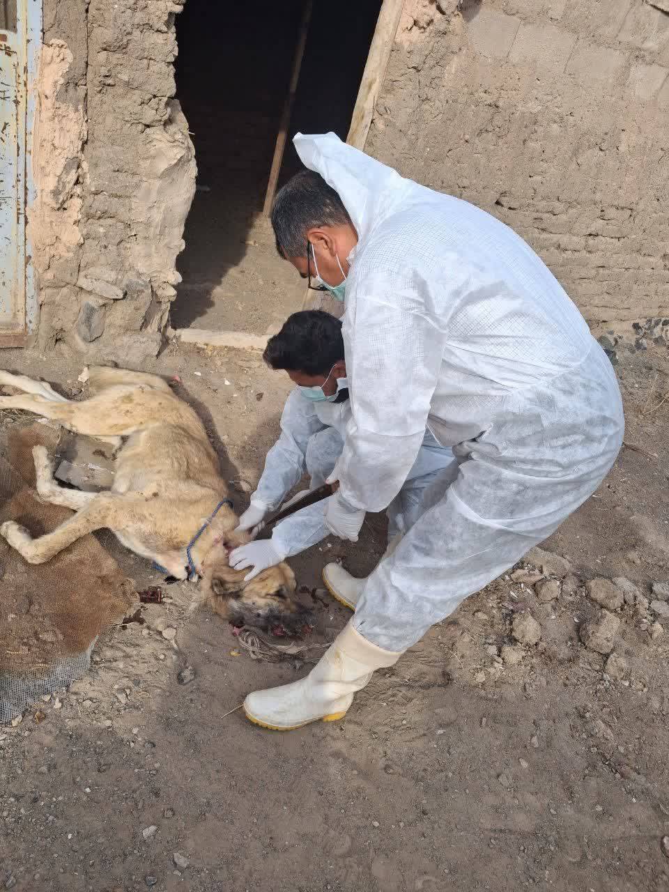 پیام خراسان