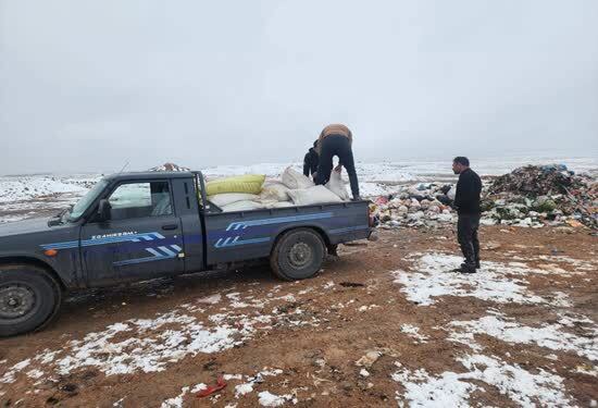 معدوم نمودن چهار تن کنجاله کلزا فاسد در اسفراین